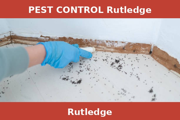 PEST CONTROL Rutledge